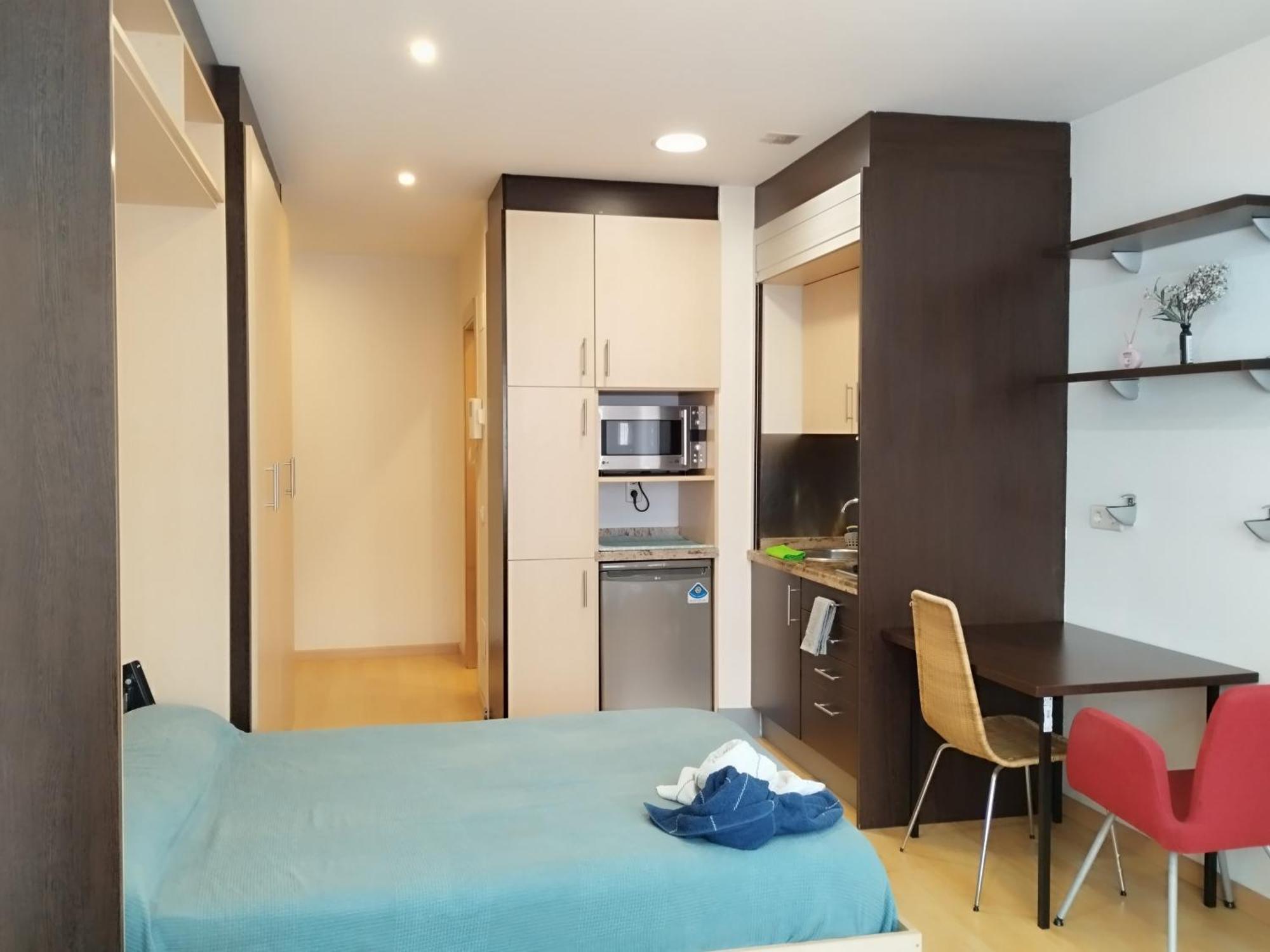 Apartment Estudio Centrico D2 *